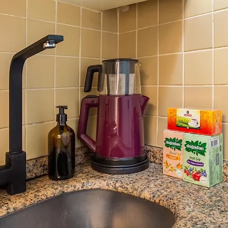 شقة Halaskargazi *